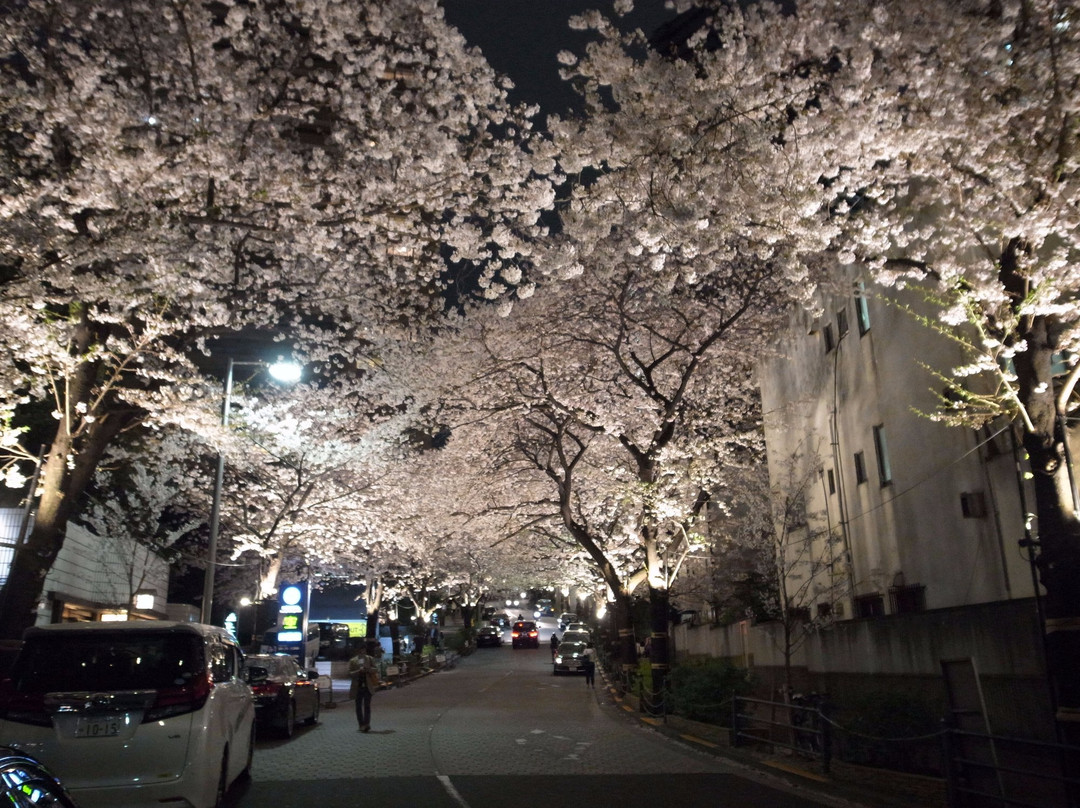 Spain-zaka-Roppongi必去景点