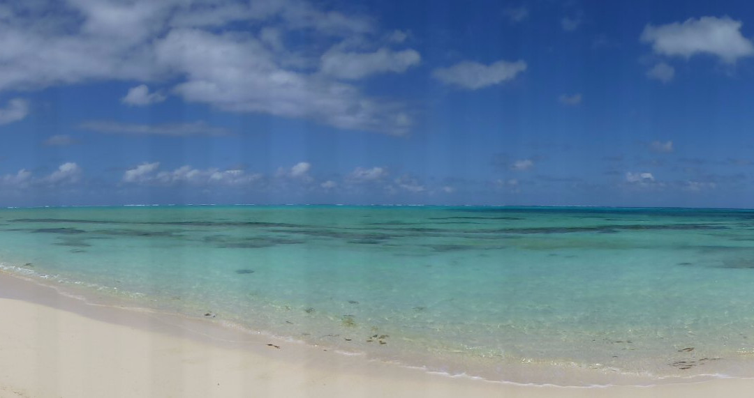 Wild Cow Run Beach-Middle Caicos必去景点