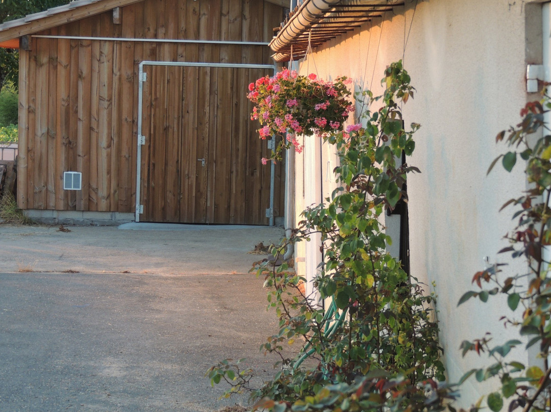 Domaine De La Gauche景点图片