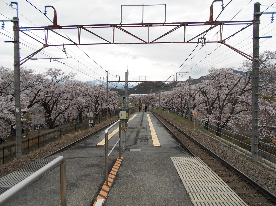 Jinrokuzakura Park景点图片