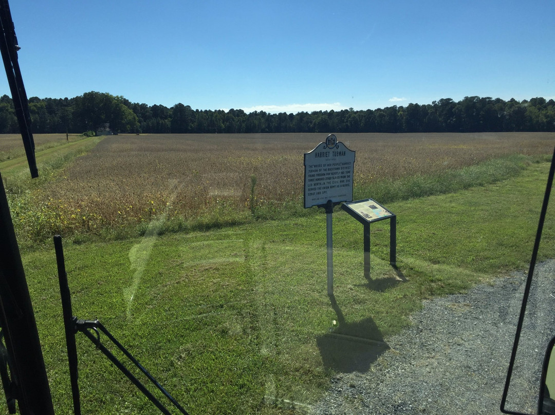Harriet Tubman Birthplace Marker景点图片