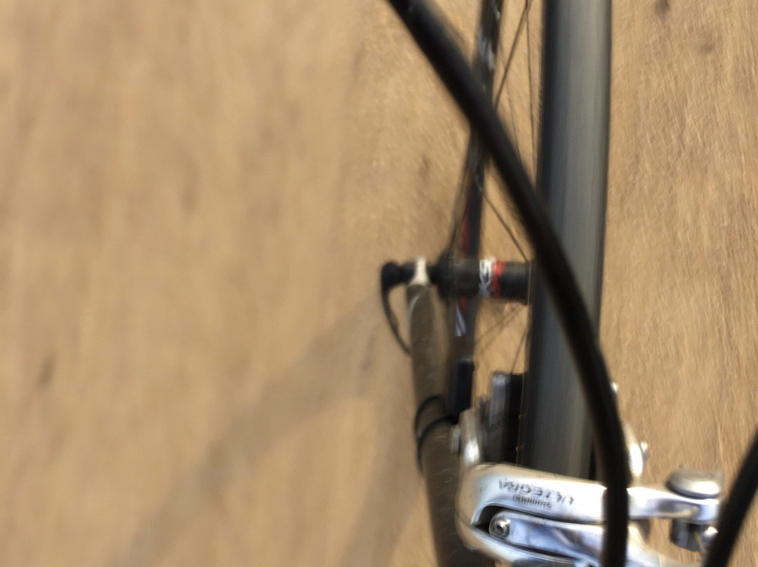 Bay Trail-山景城必去景点