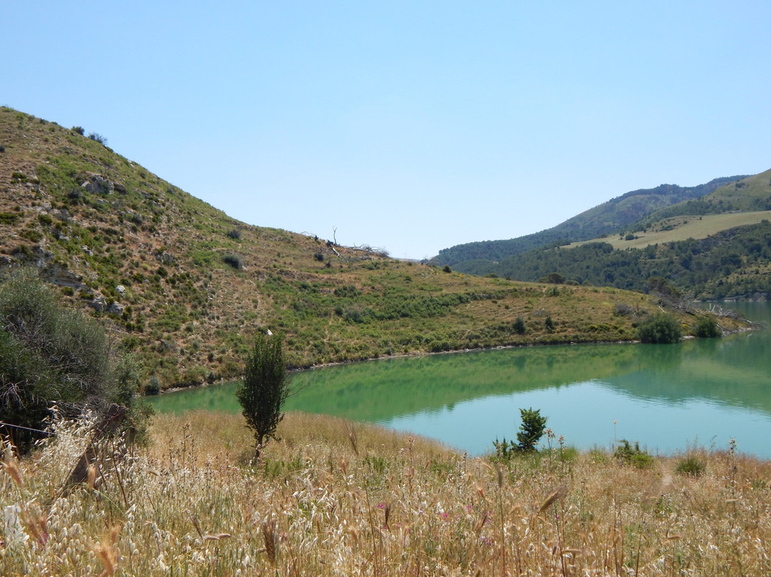 Lago di Licodia Invaso Dirillo景点图片