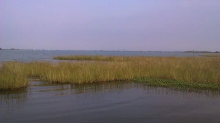 Veeranam Lake景点图片