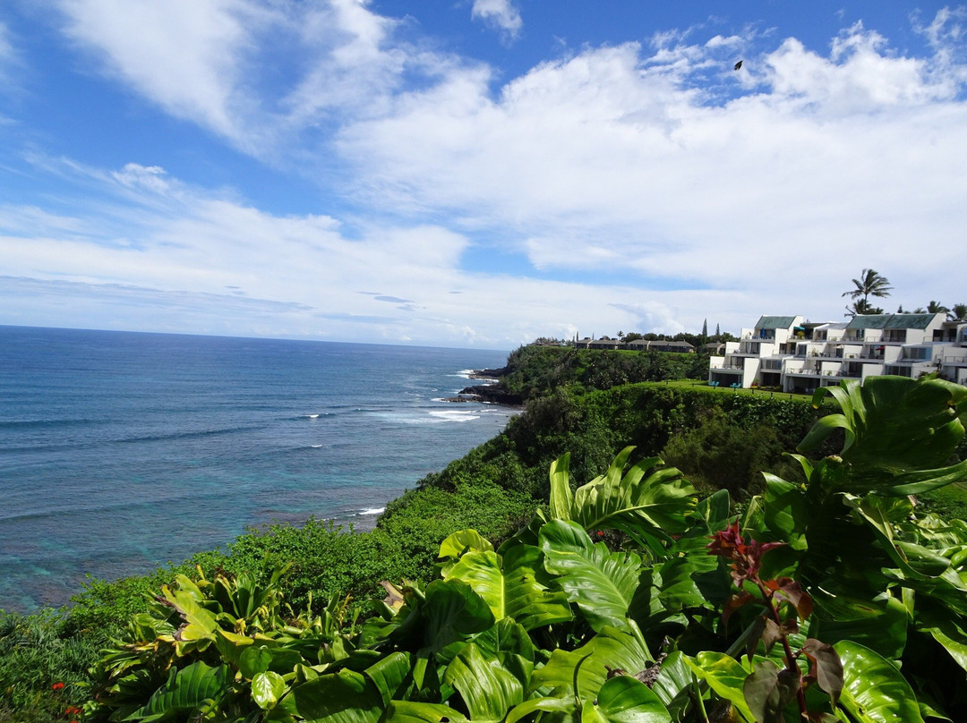 Princeville Center-普林斯维尔必去景点