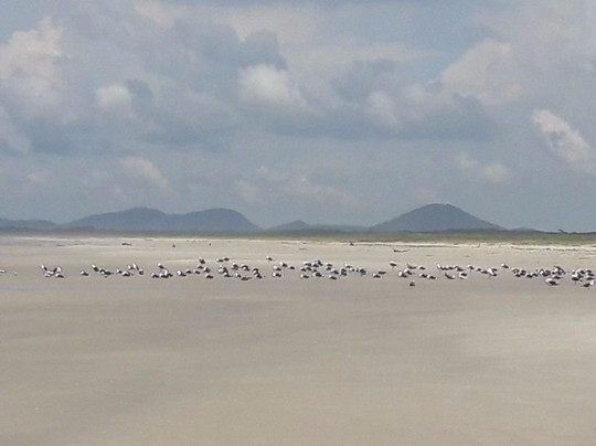 Deserta Beach-Ilha do Superagui必去景点