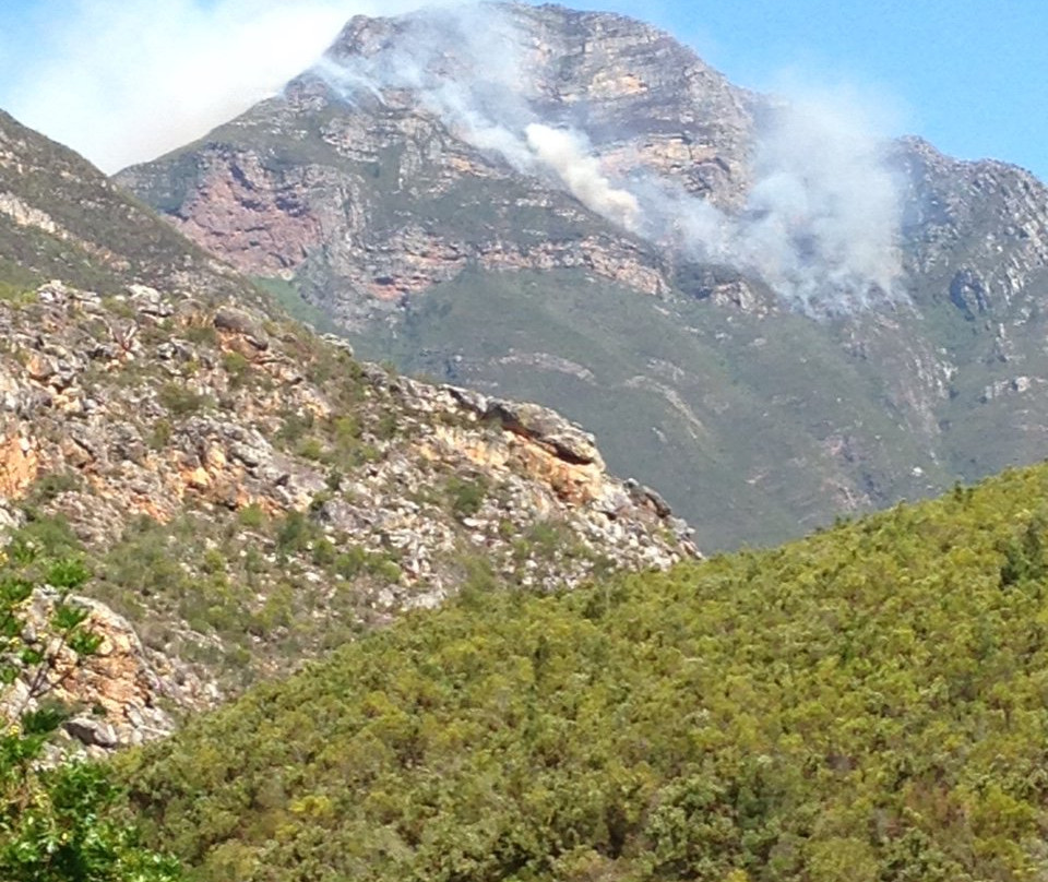 R 62 nel Klein Karoo-蒙提古必去景点