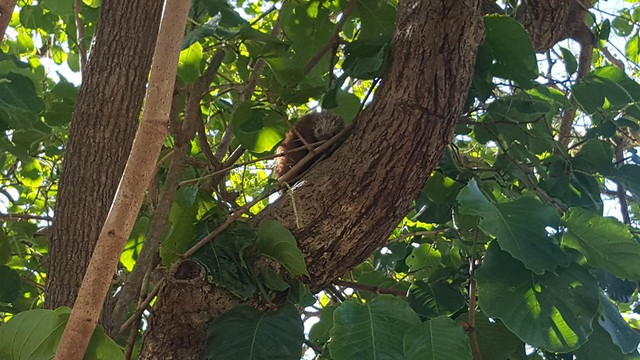 Red Pacific Sunset - Alex Tours-波特雷罗必去景点