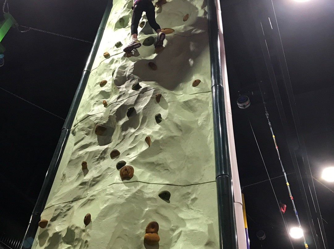 Clip 'N Climb景点图片