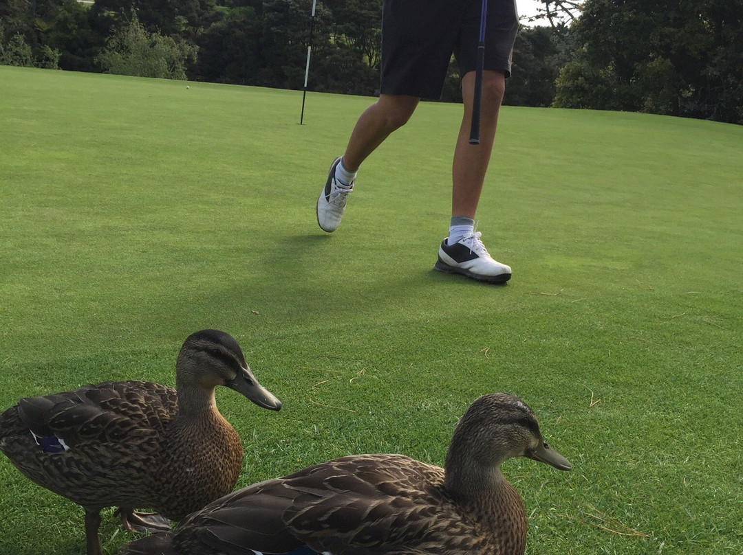 North Shore Golf Club-奥尔巴尼必去景点