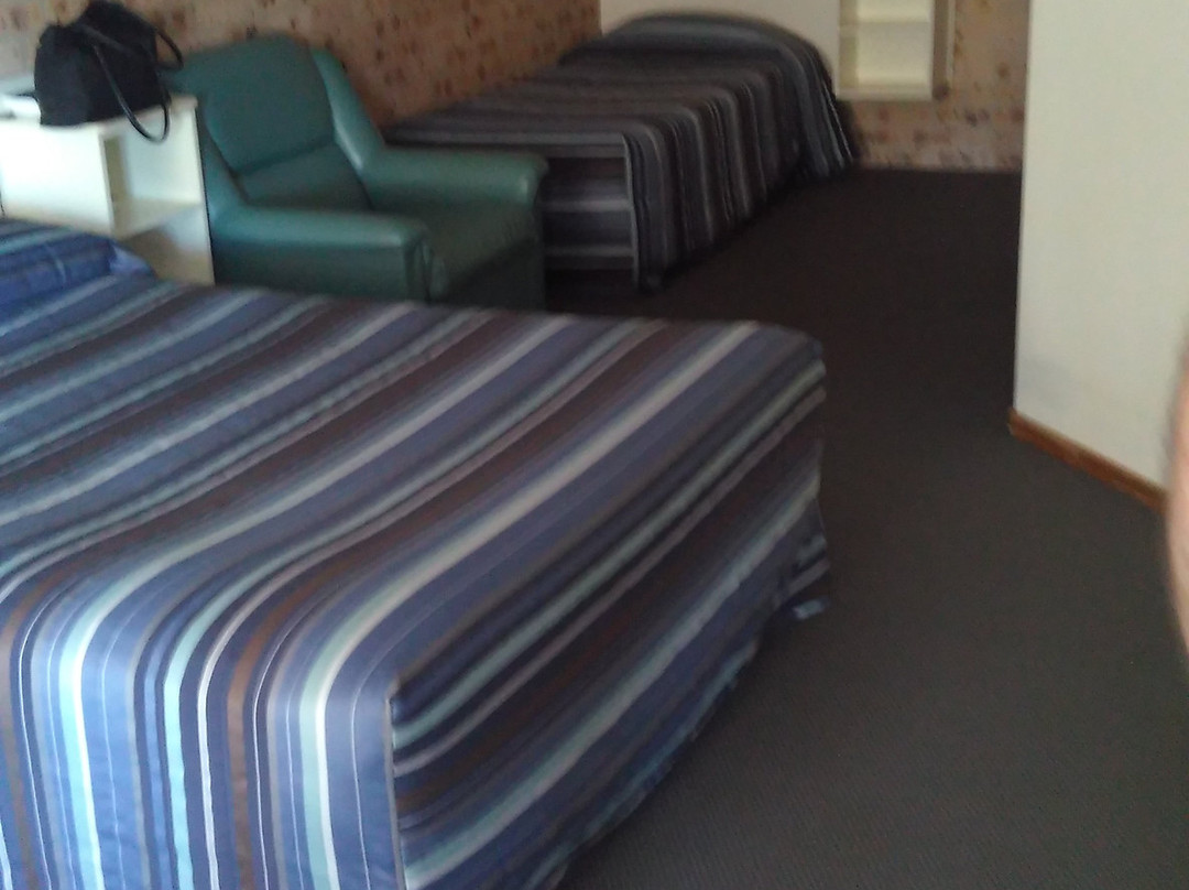 Cardiff Motor Inn主图