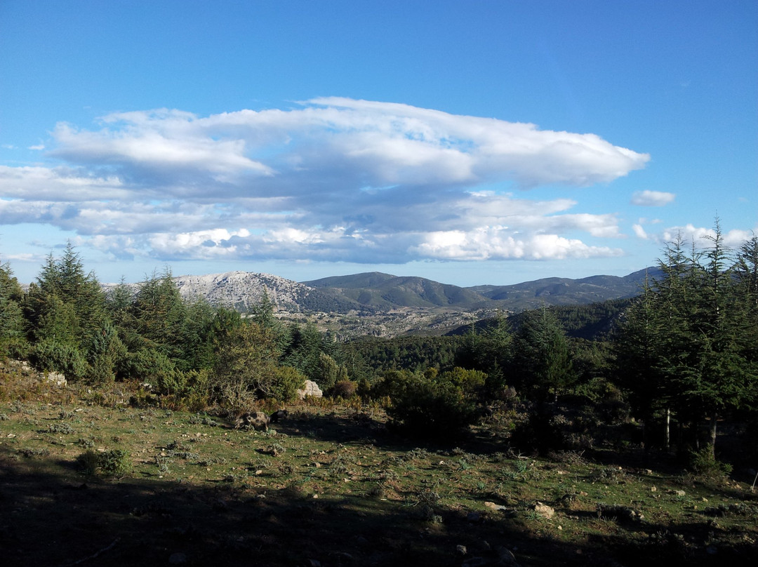 Foresta di Montes-Orgosolo必去景点