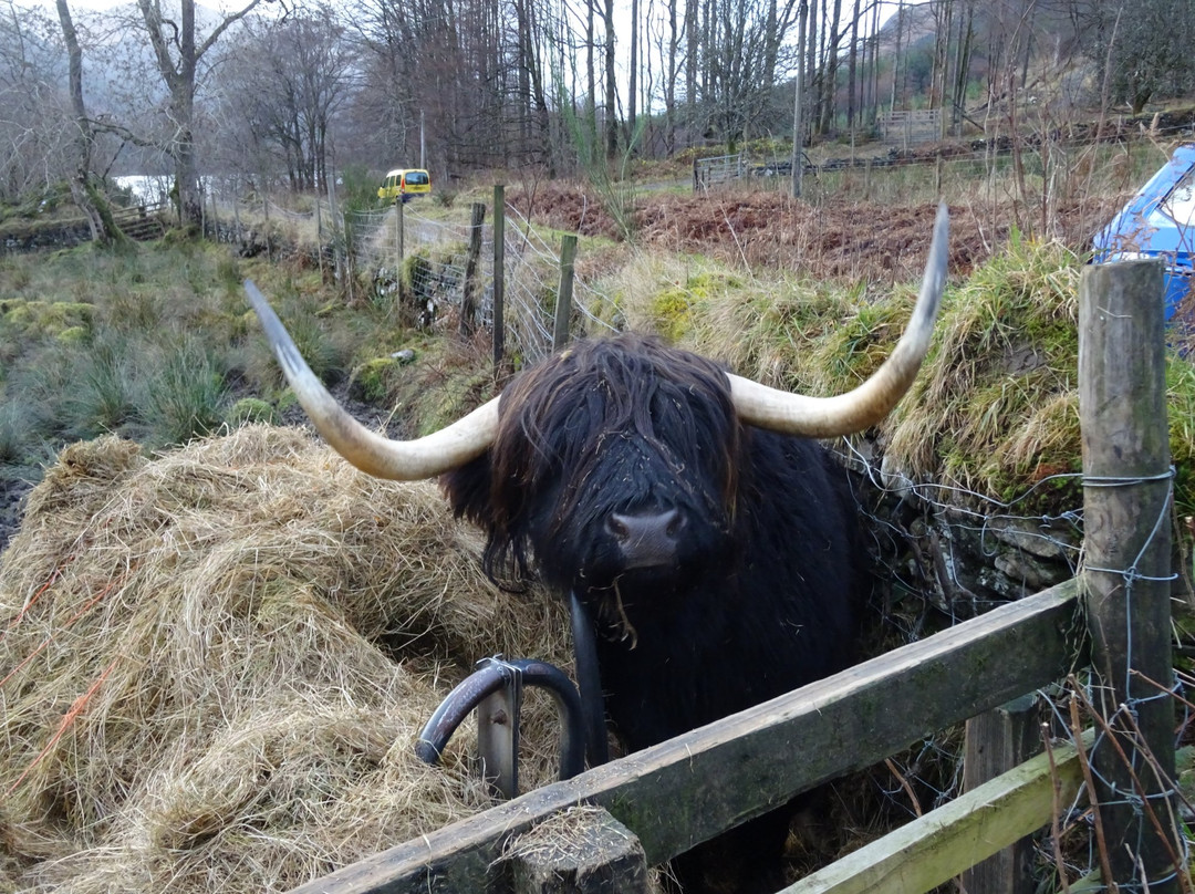 Loch Lomond National Nature Reserve-洛蒙德湖与特罗萨克斯山国家公园必去景点