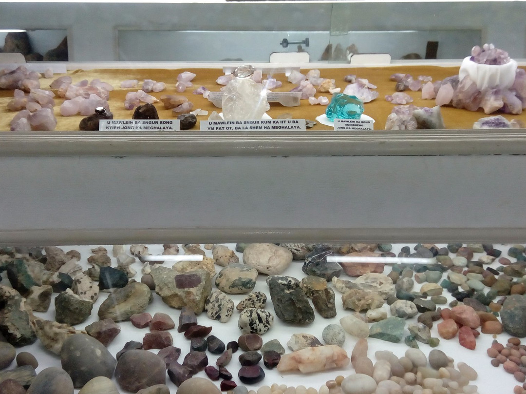 Ever Living Museum景点图片