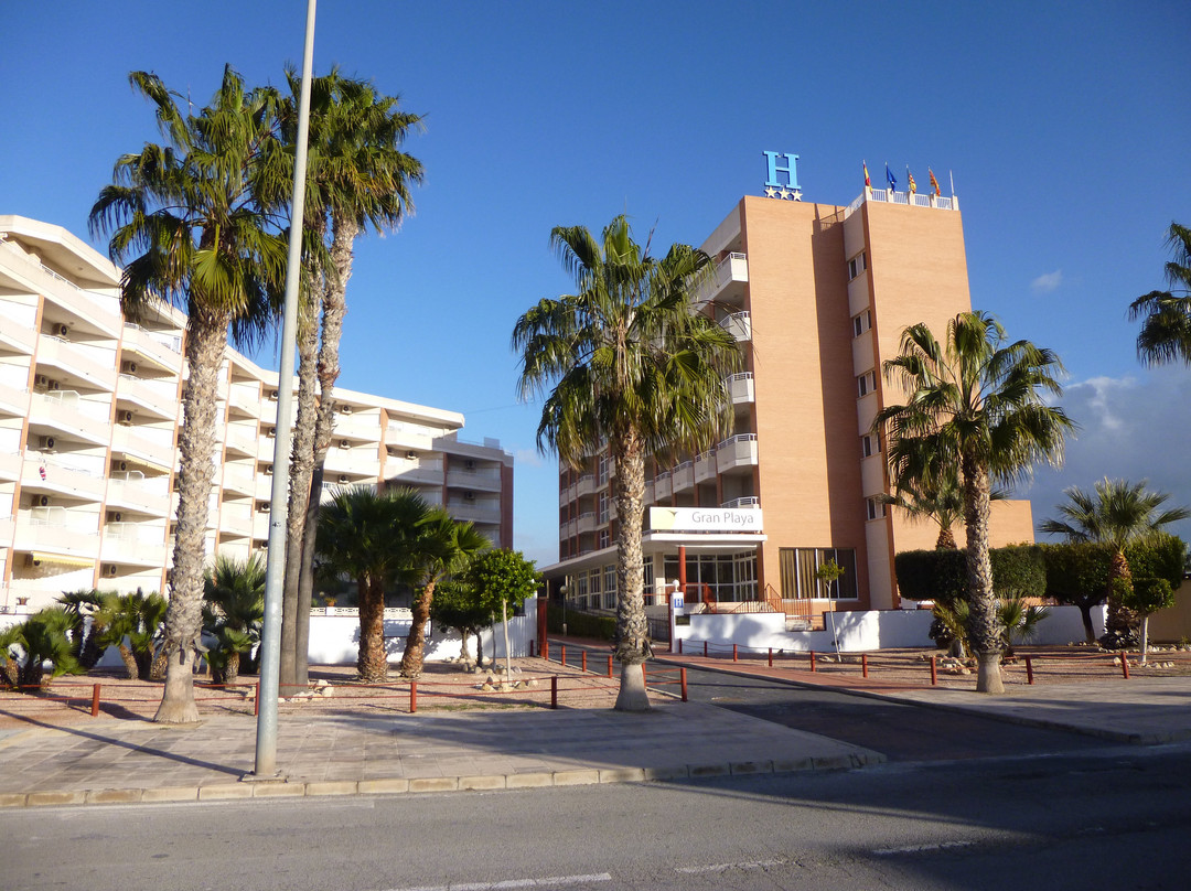 Hotel Gran Playa主图