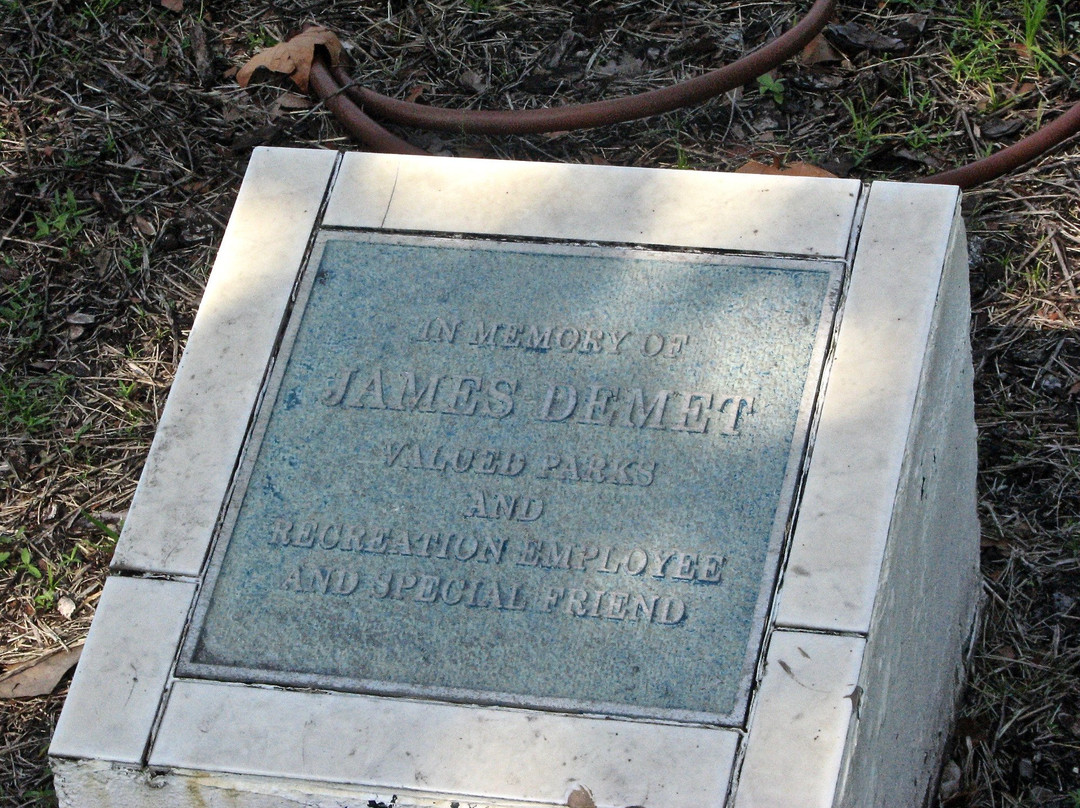 Doggie Days Dog Park-克利尔沃特必去景点