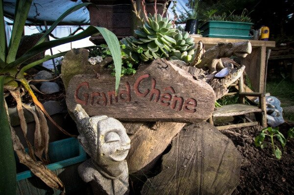 Kula Malaika Foundation-荒野必去景点