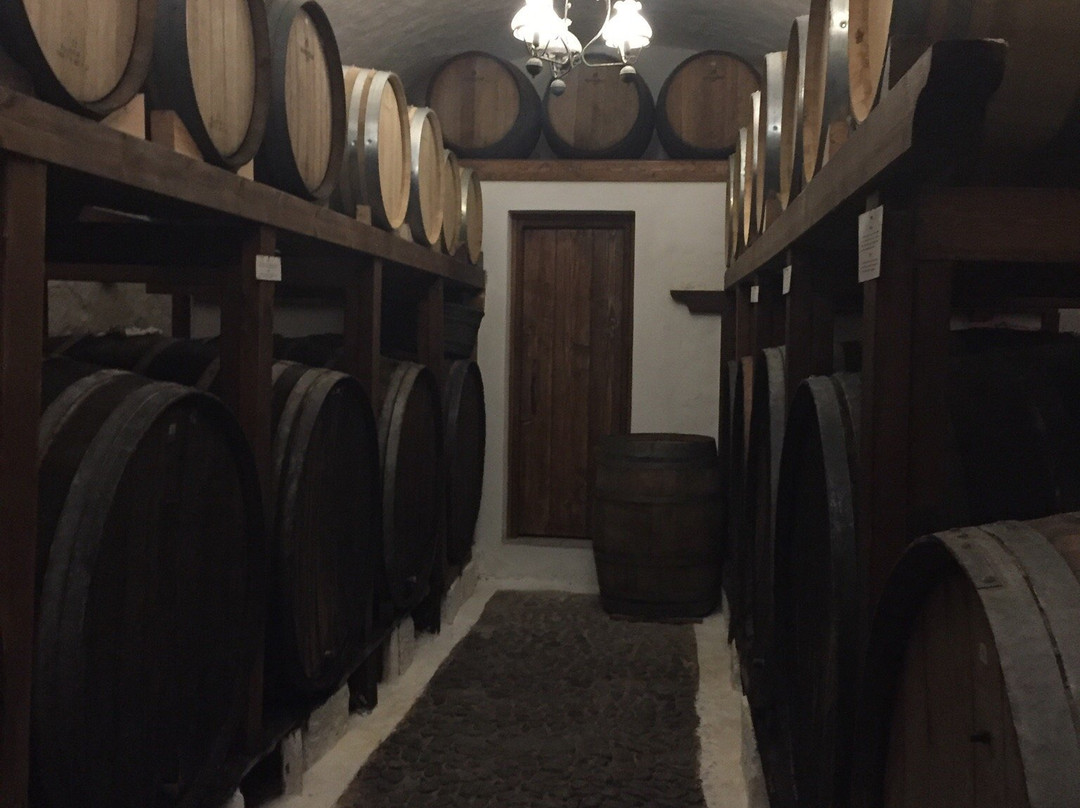 Premier Santorini Travel Services - Daily Tours-圣托里尼必去景点