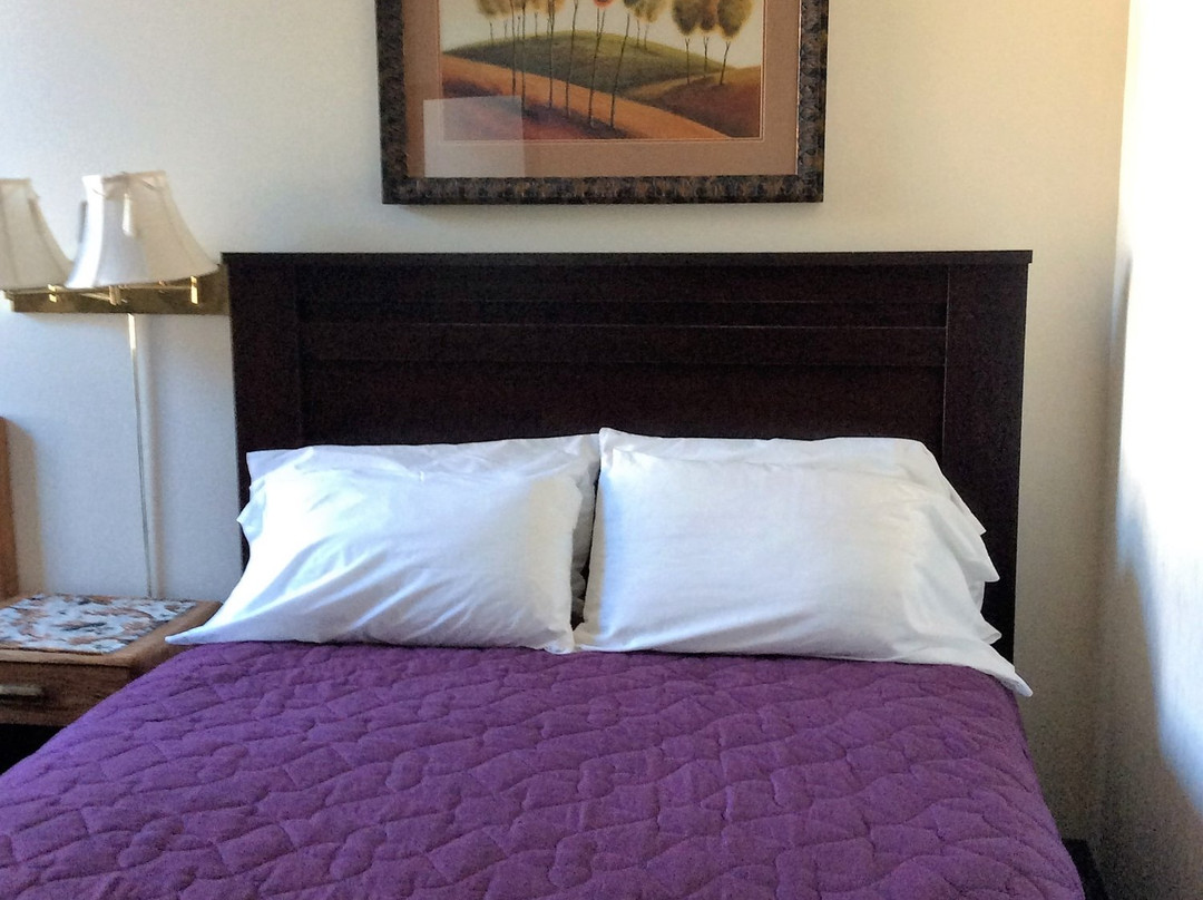 Kowality Motor Inn主图