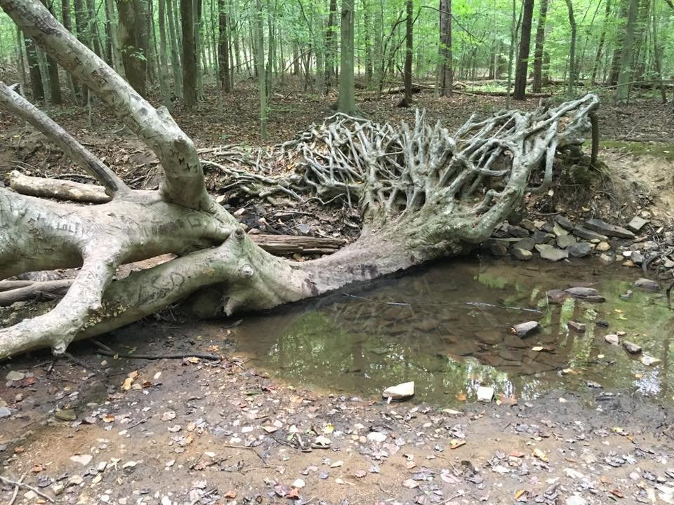 Bull Run Mountains Natural Area Preserve景点图片