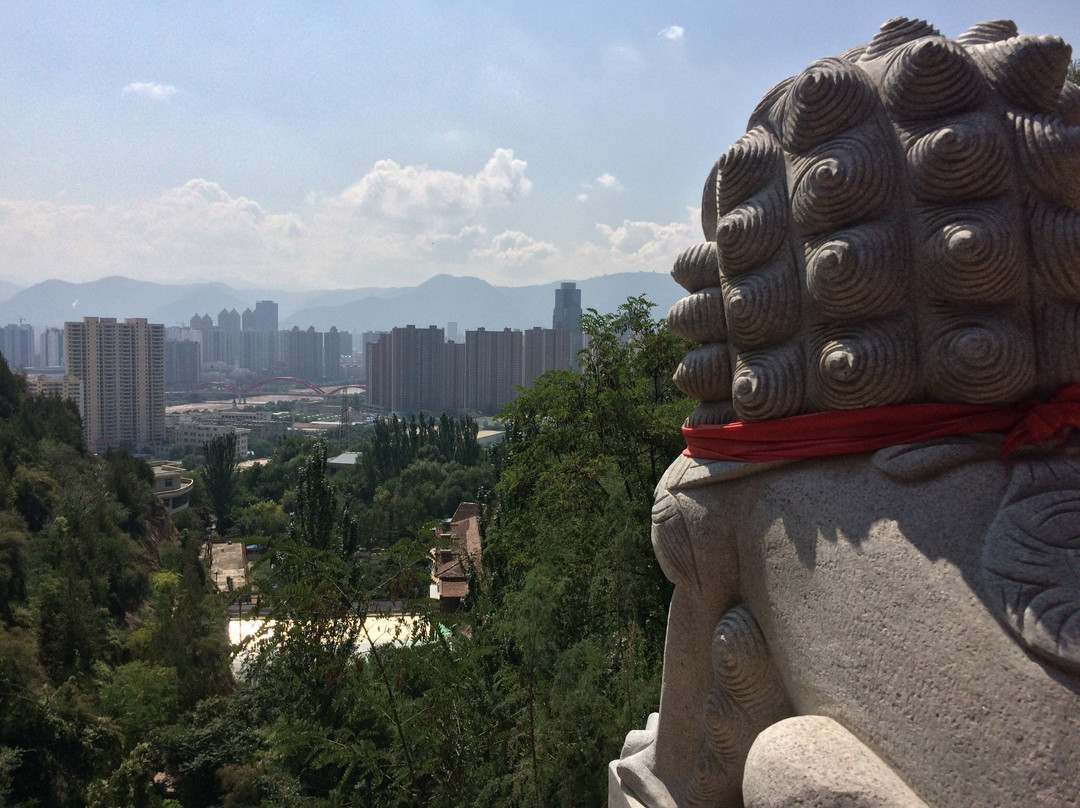 徐家山国家森林公园景点图片