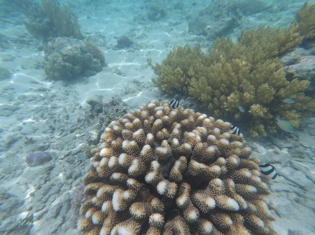 Napantao Marine Sanctuary-Padre Burgos必去景点