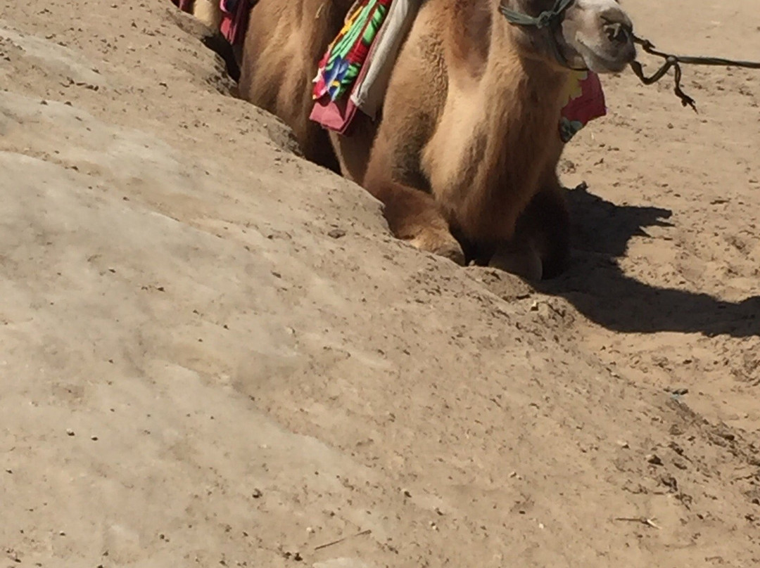 三关口明长城-贺兰县必去景点