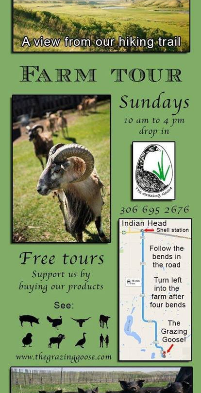 The Grazing Goose-Indian Head必去景点