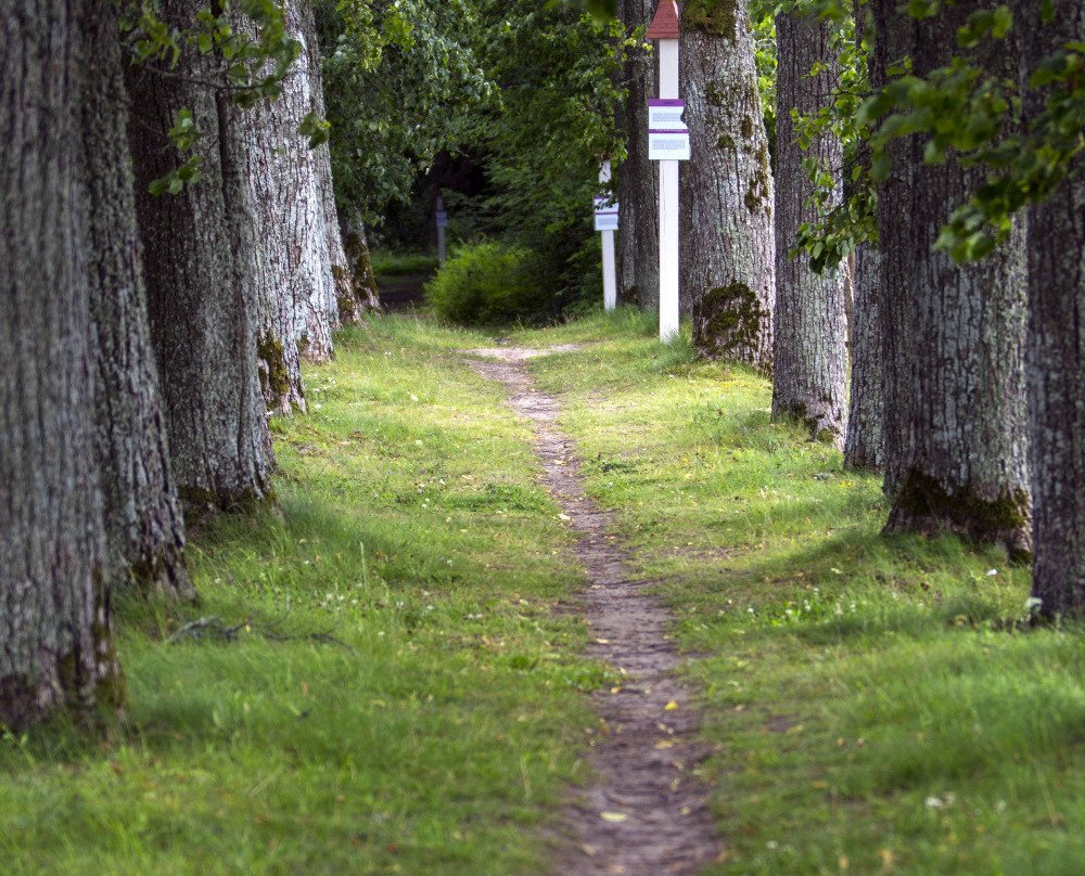Stameriena旅游攻略图片