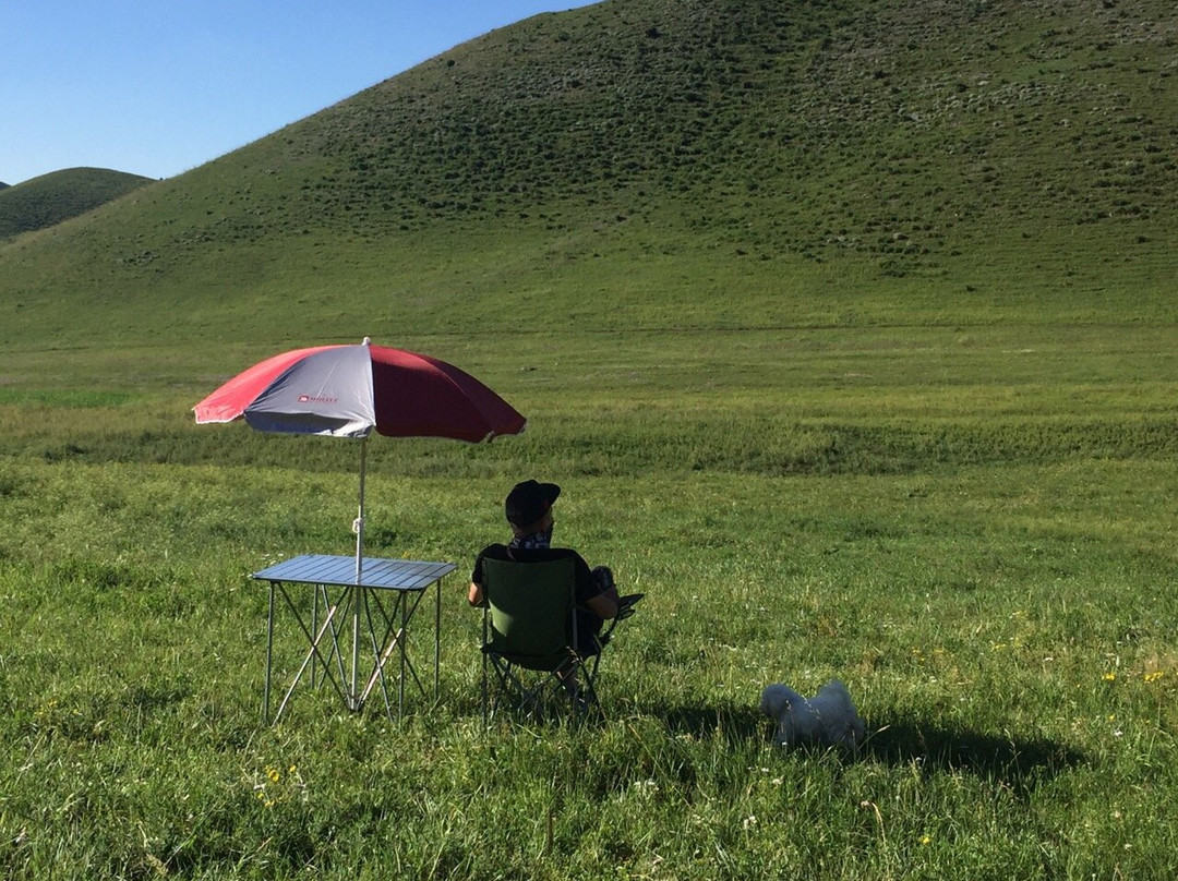 沽源草原-沽源县必去景点