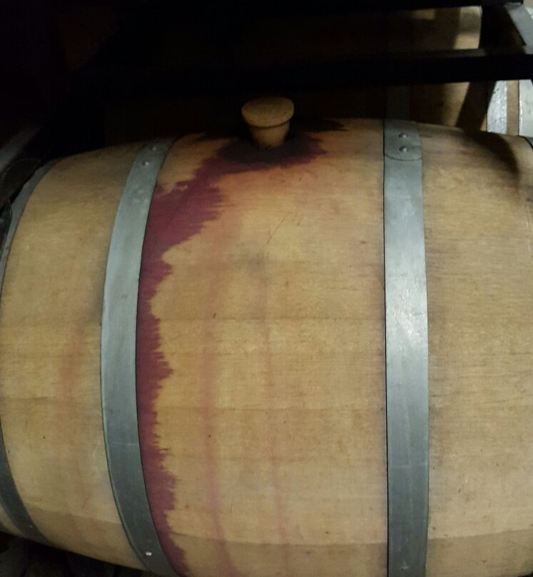 Palatine Hills Estate Winery-滨湖尼亚加拉必去景点