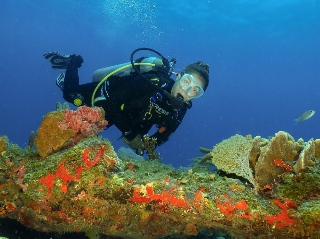 Manatus Mexico-从莫雷洛斯港必去景点