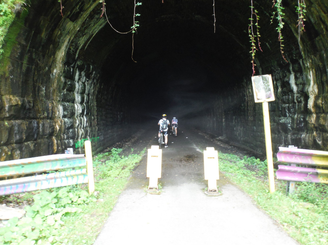 Allegheny River Trail景点图片