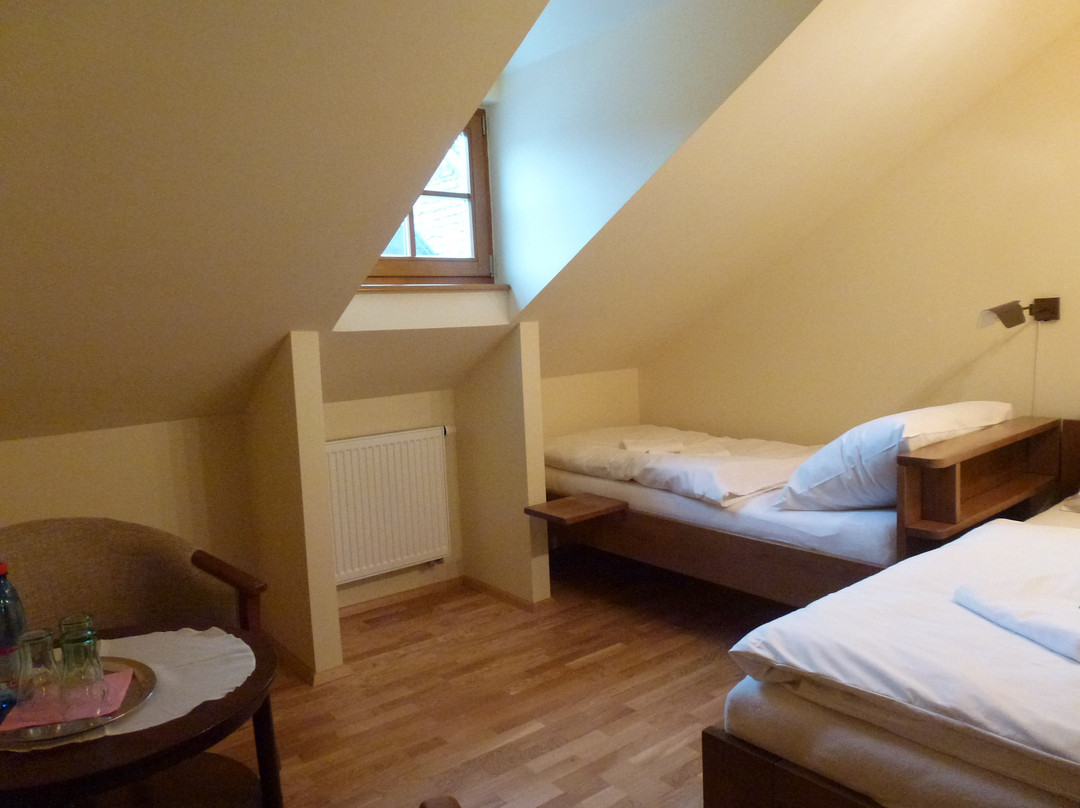 Accommodation at Janus- Ubytovanie U Janusa ***主图