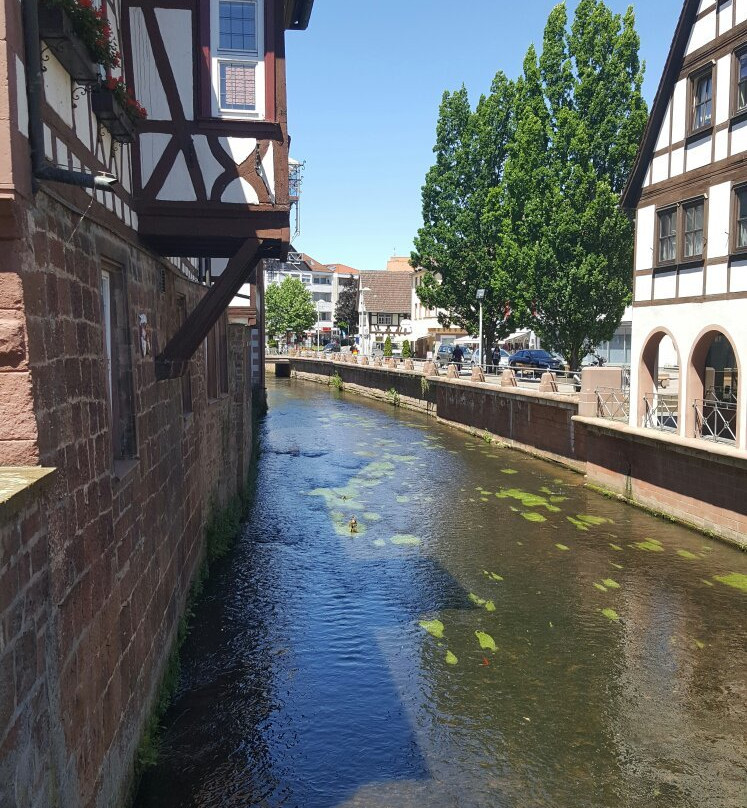 Erbacher Brewery