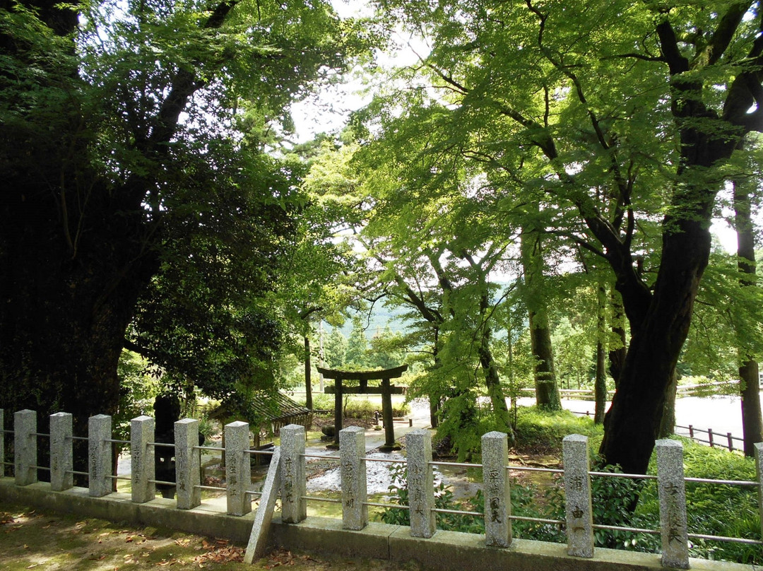 Ikazuchi Shrine景点图片