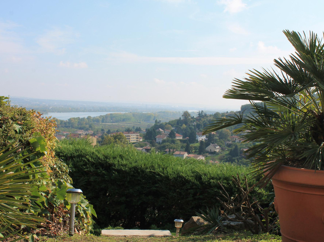 Wine Passion Panoramic
