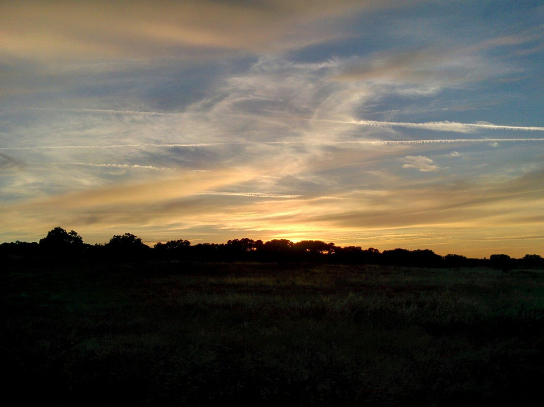 Hotel Balneario de Brozas主图