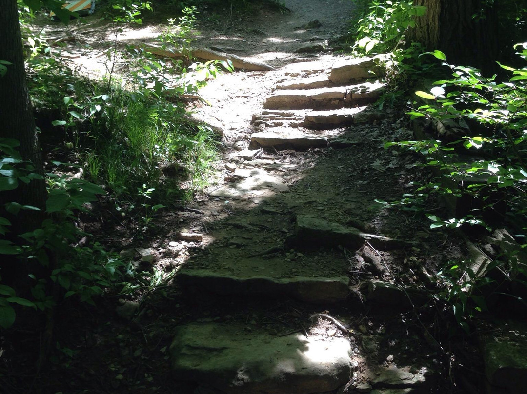 Waterfall Glen Forest Preserve-Darien必去景点