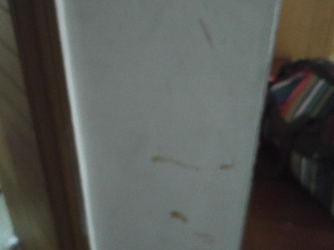 OYO 1252 Hotel Landmark主图