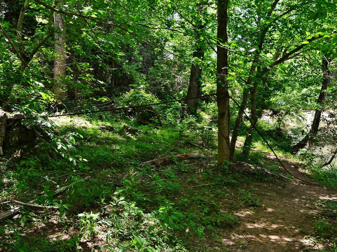 White Pines Nature Preserve景点图片
