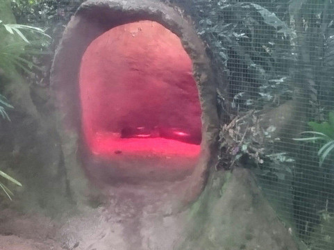 Parque Natural das Aves-Sao Bento Do Sul必去景点