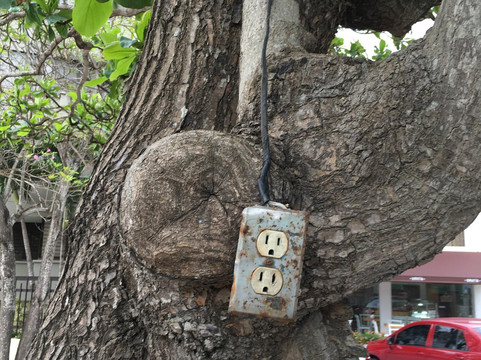 Parque Bosques del Norte-Barranquilla必去景点