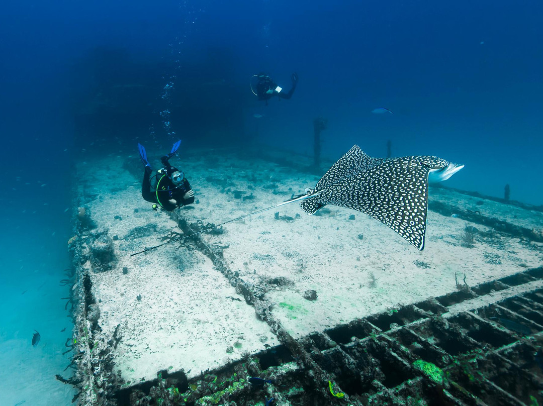 Manatus Mexico-从莫雷洛斯港必去景点