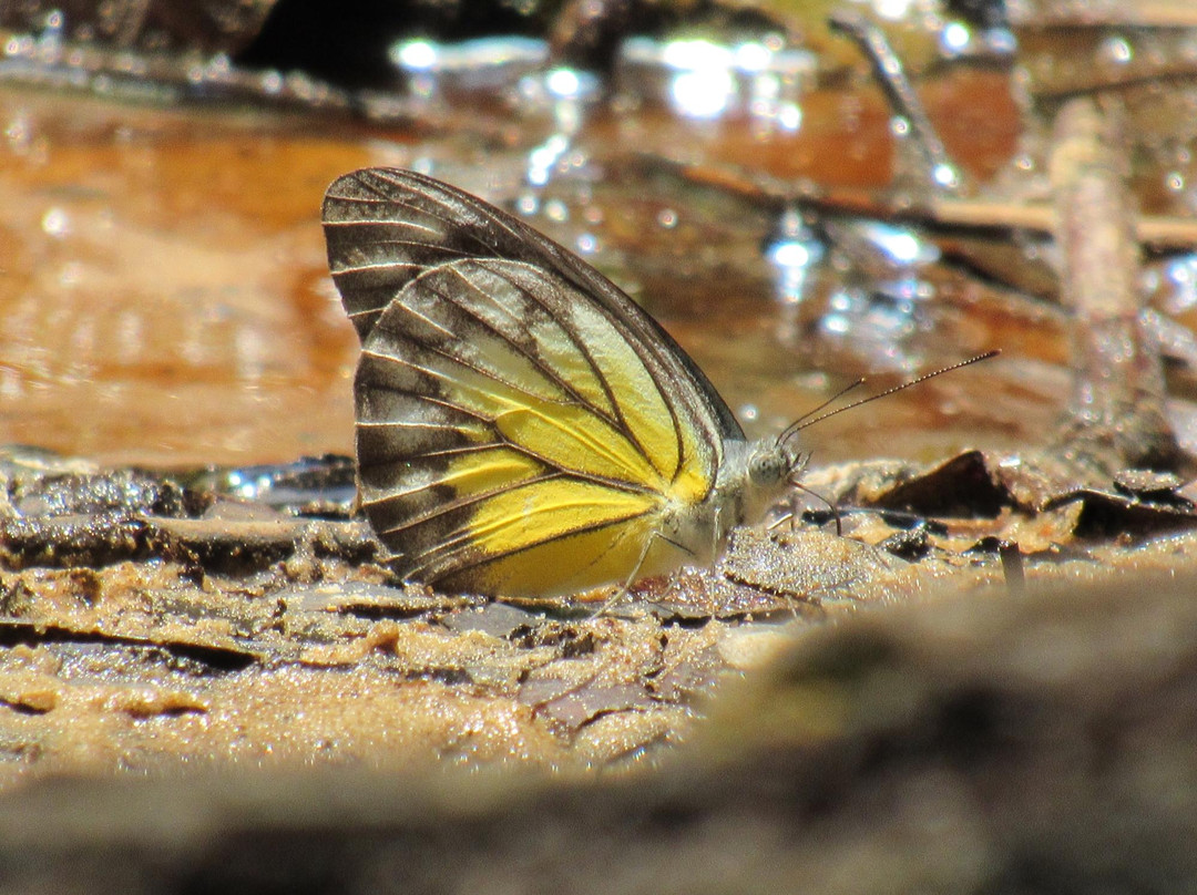 Clearwater Connection-姆鲁国家公园必去景点