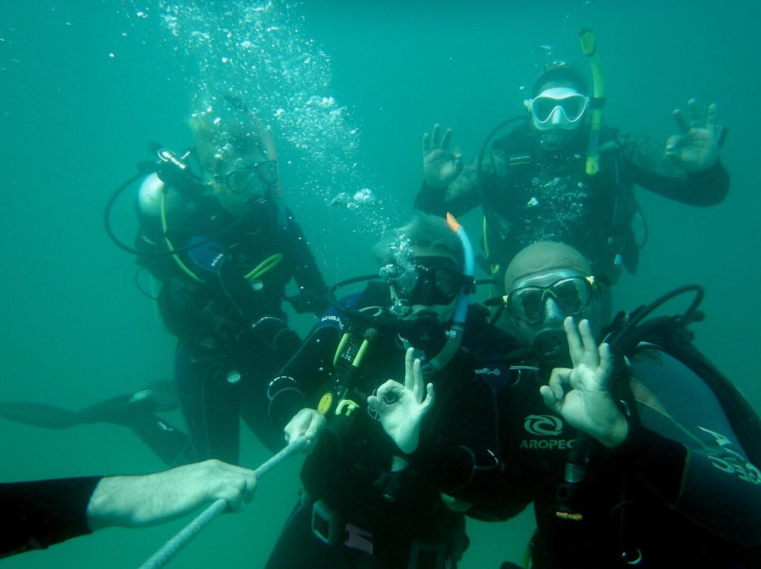 Emirates Divers Centre-阿布扎比必去景点