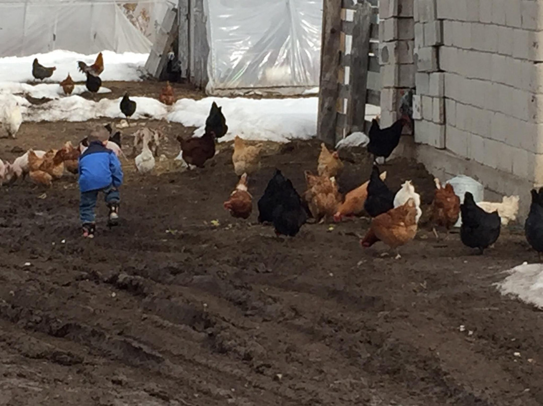 Haderlie Farms-Thayne必去景点