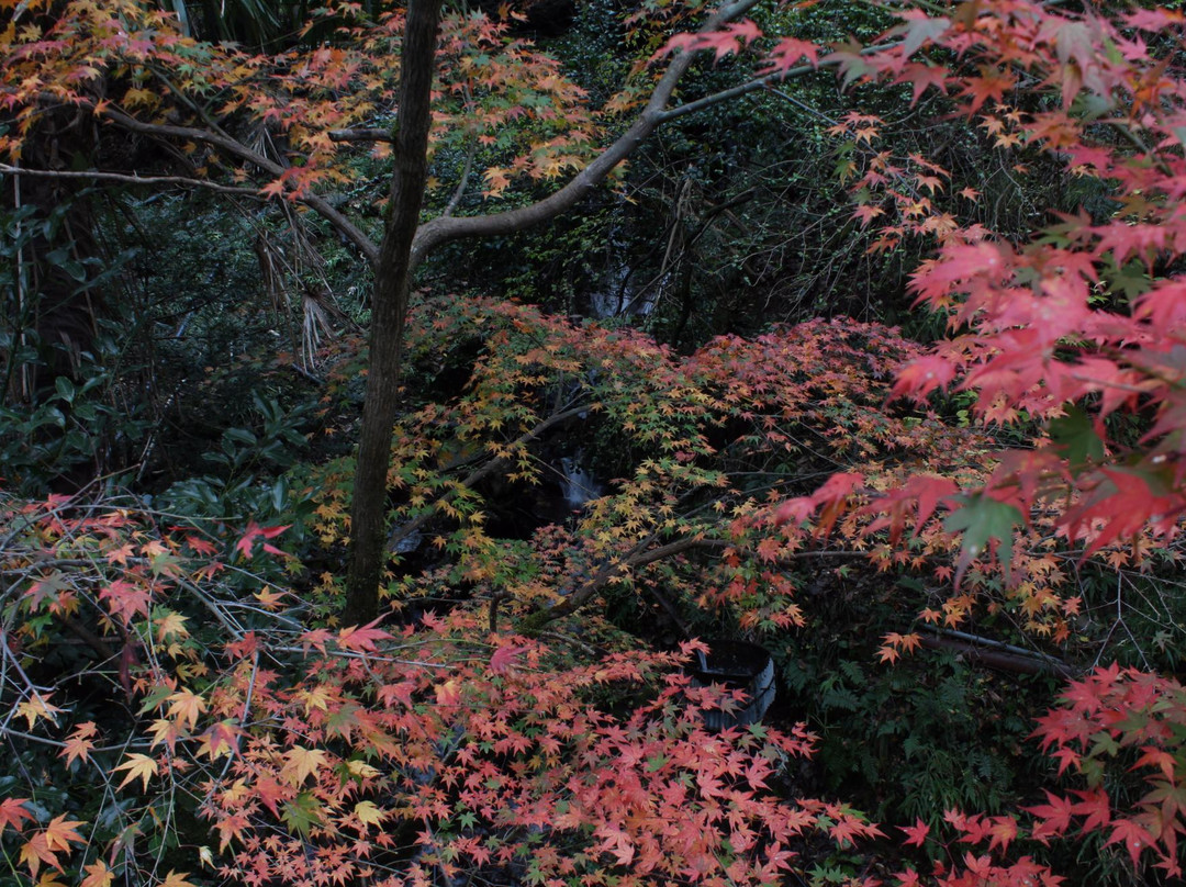 Shimootomi Waterfall-京丹波町必去景点