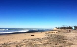 Cardiff State Beach-恩西尼塔斯必去景点