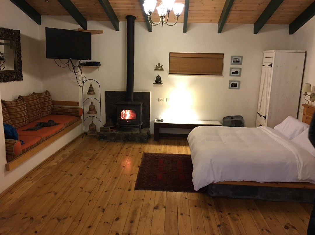 Kinneret Zimmer's主图